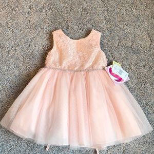 Blush Special Occasion Toddler Dress